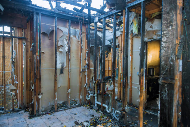 Professional Fire Damage Repair technician working in Osprey, FL