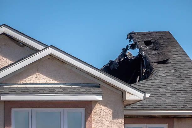 Top rated local Fire Damage Repair specialists in Osprey, FL